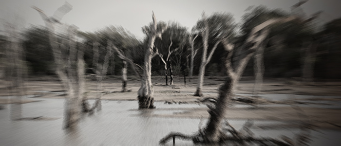 Alluvione